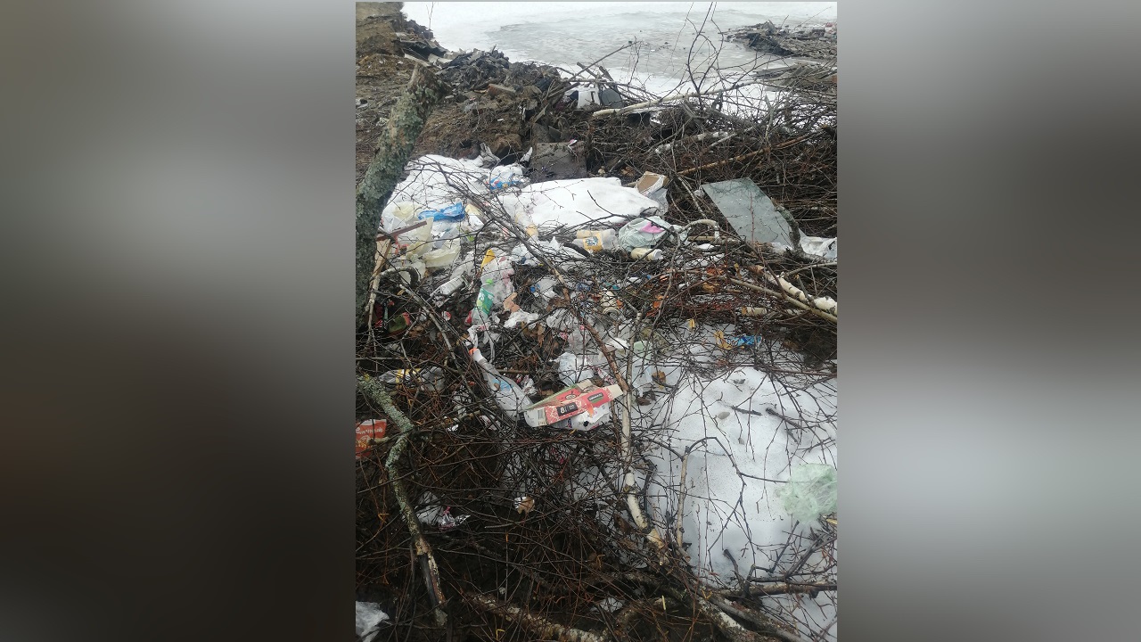 прокуратура Владимирской области прокуратура Владимирской области