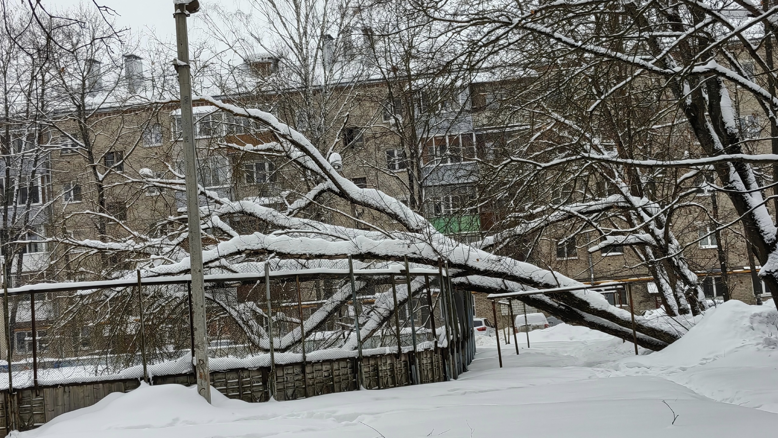 AlexAutoLive AlexAutoLive