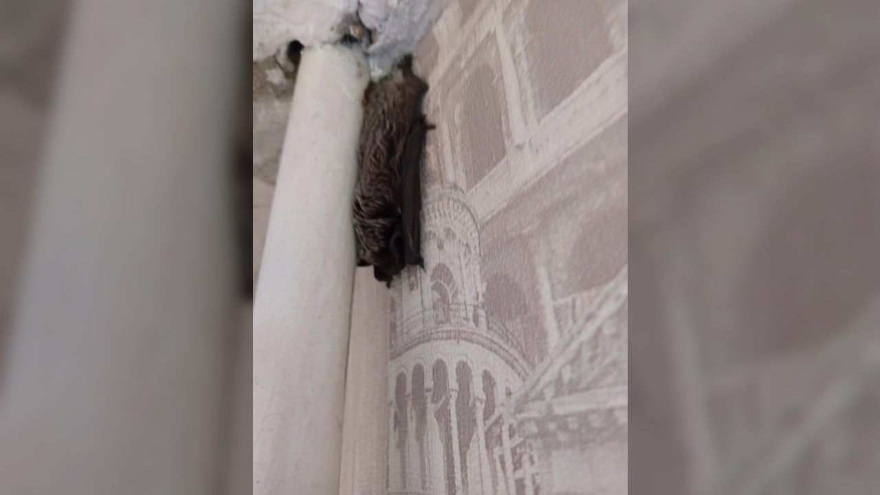 Фото – пресс-служба Госохотоинспекции по Владимирской области Фото – пресс-служба Госохотоинспекции по Владимирской области