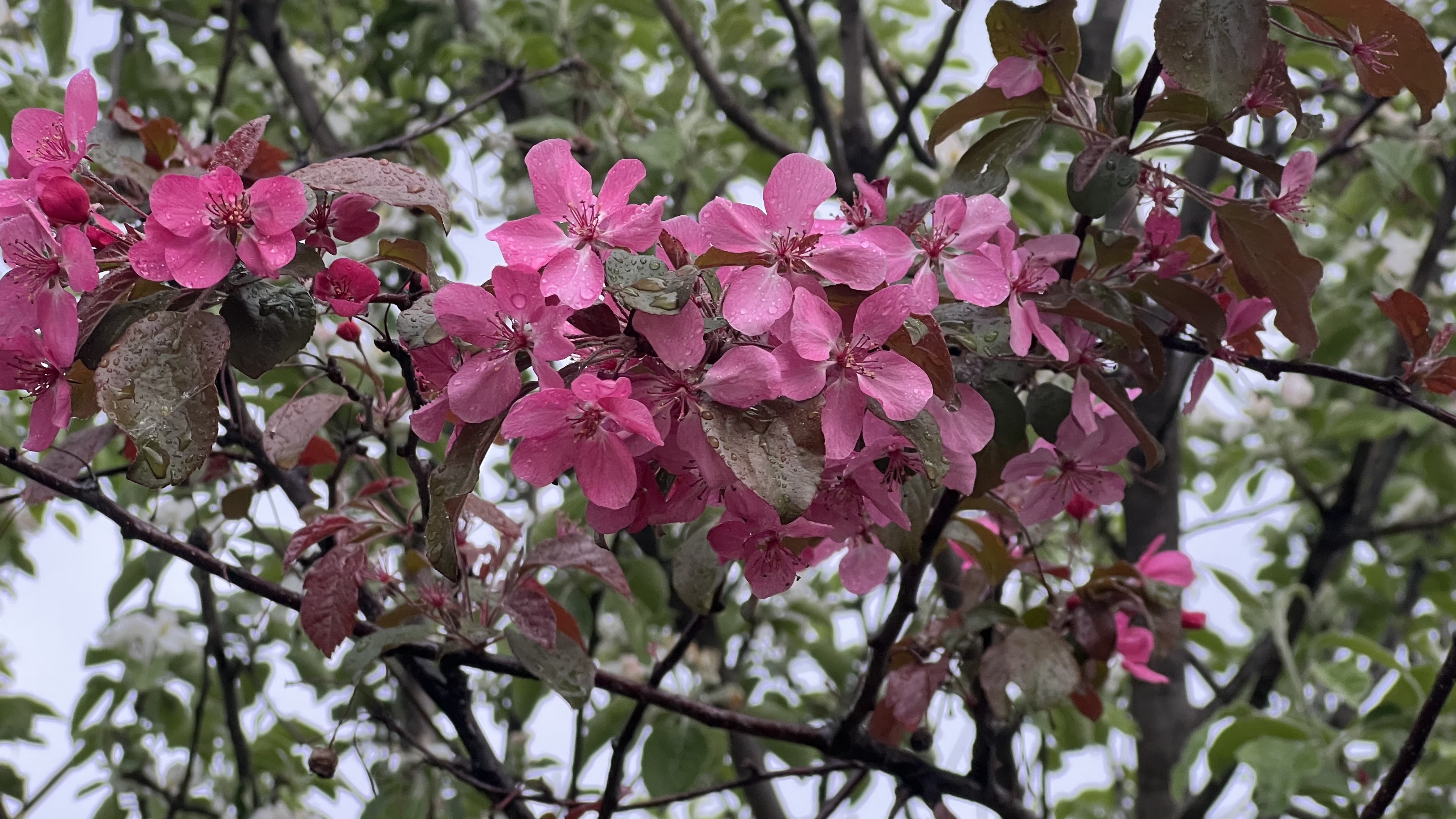 День во Владимире День во Владимире