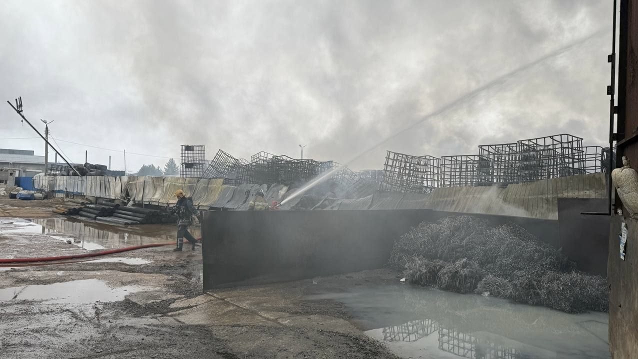 Дмитрий Наумов Дмитрий Наумов