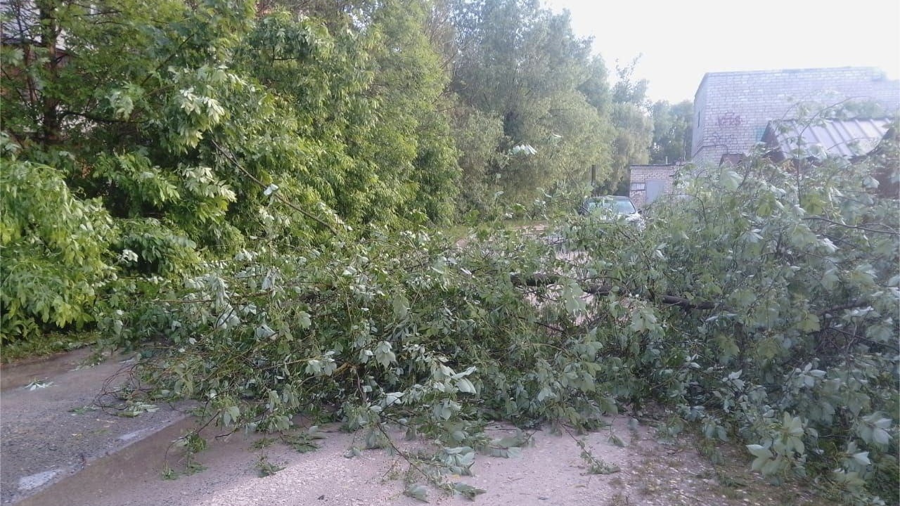 мэрия Владимира мэрия Владимира