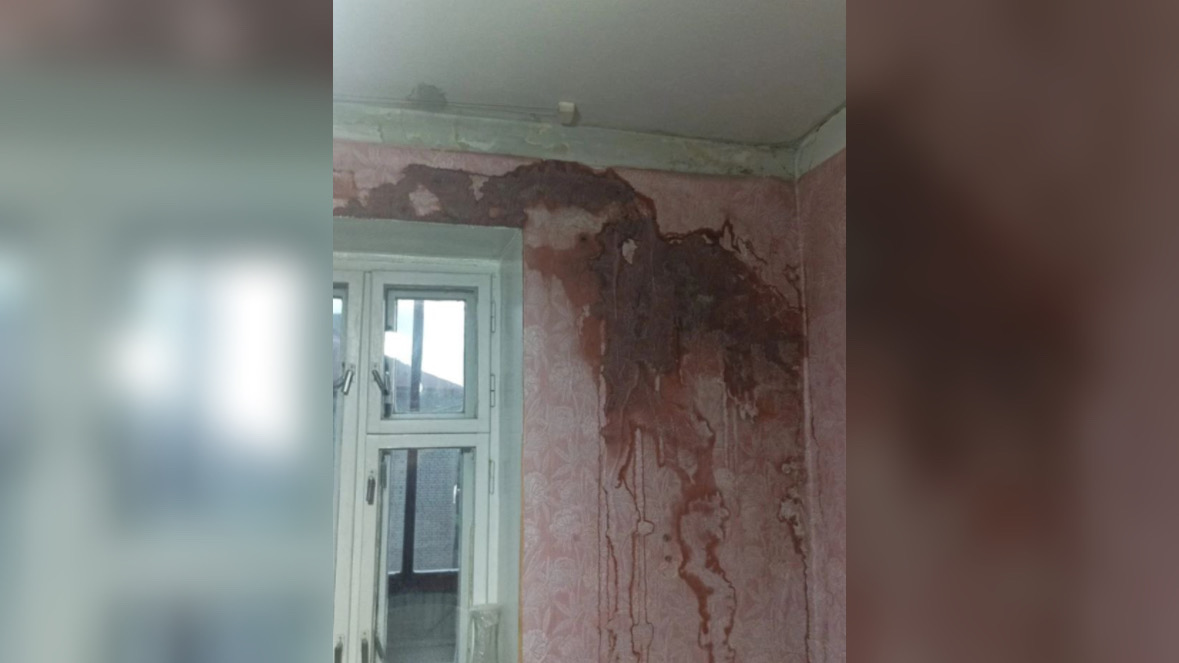 Сергей Трубкин Сергей Трубкин