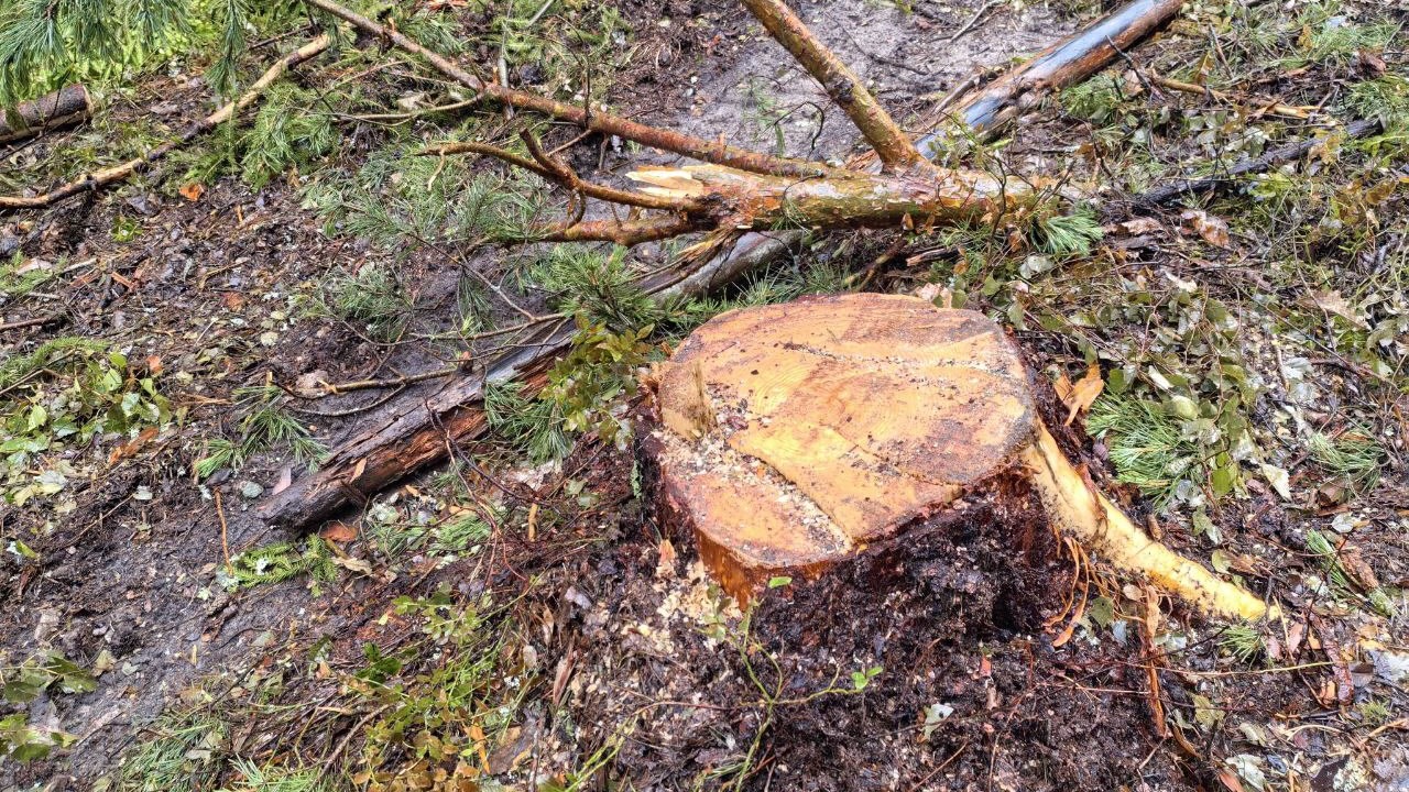 Правительство Владимирской области Правительство Владимирской области