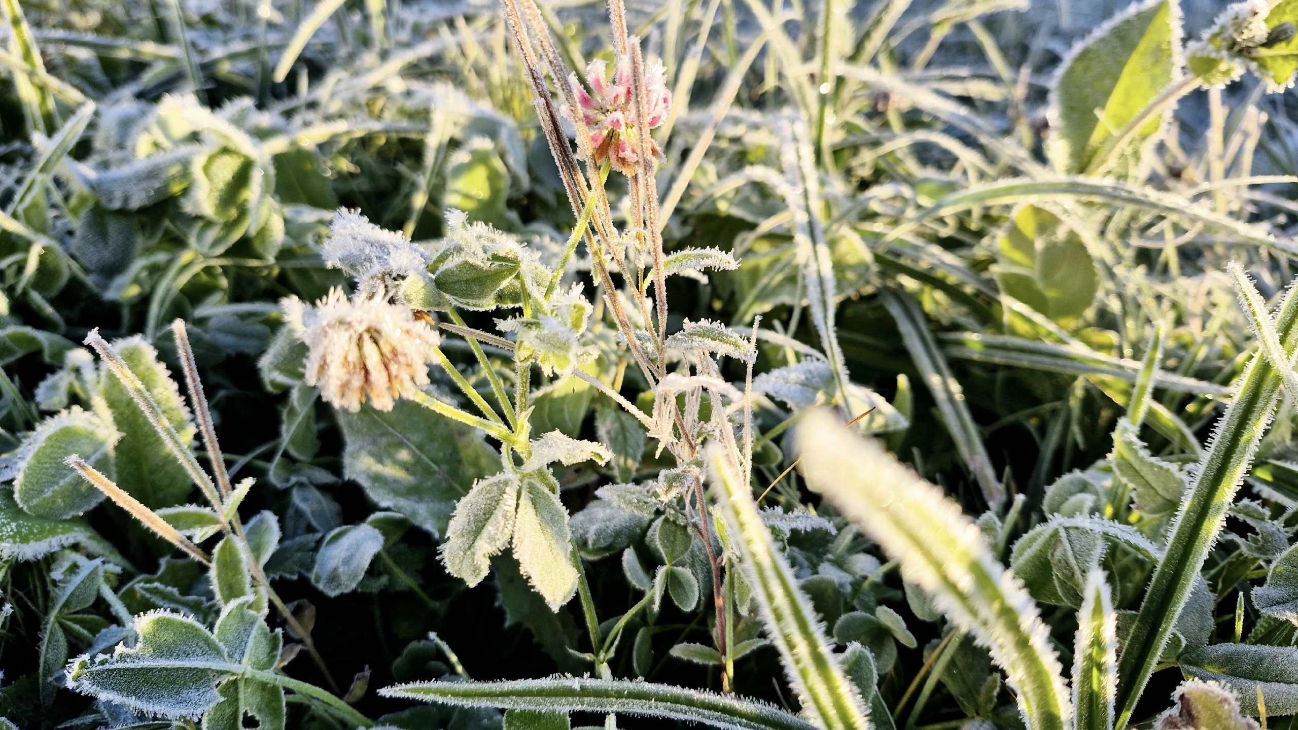 Администрация Юрьев-Польского района Администрация Юрьев-Польского района