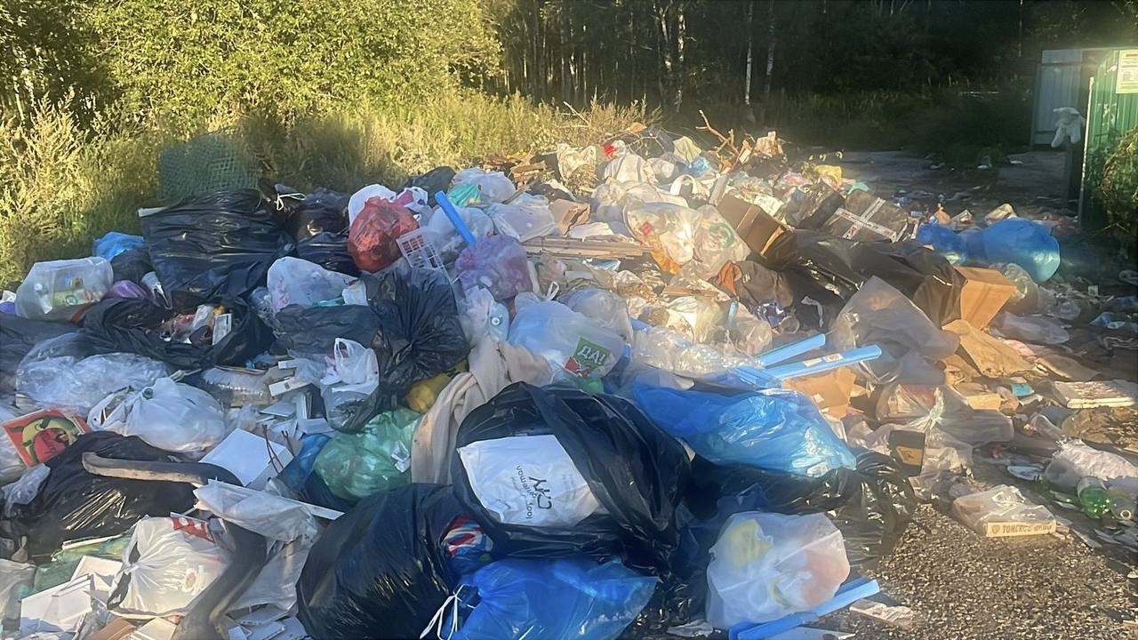 Прокуратура Владимирской области Прокуратура Владимирской области