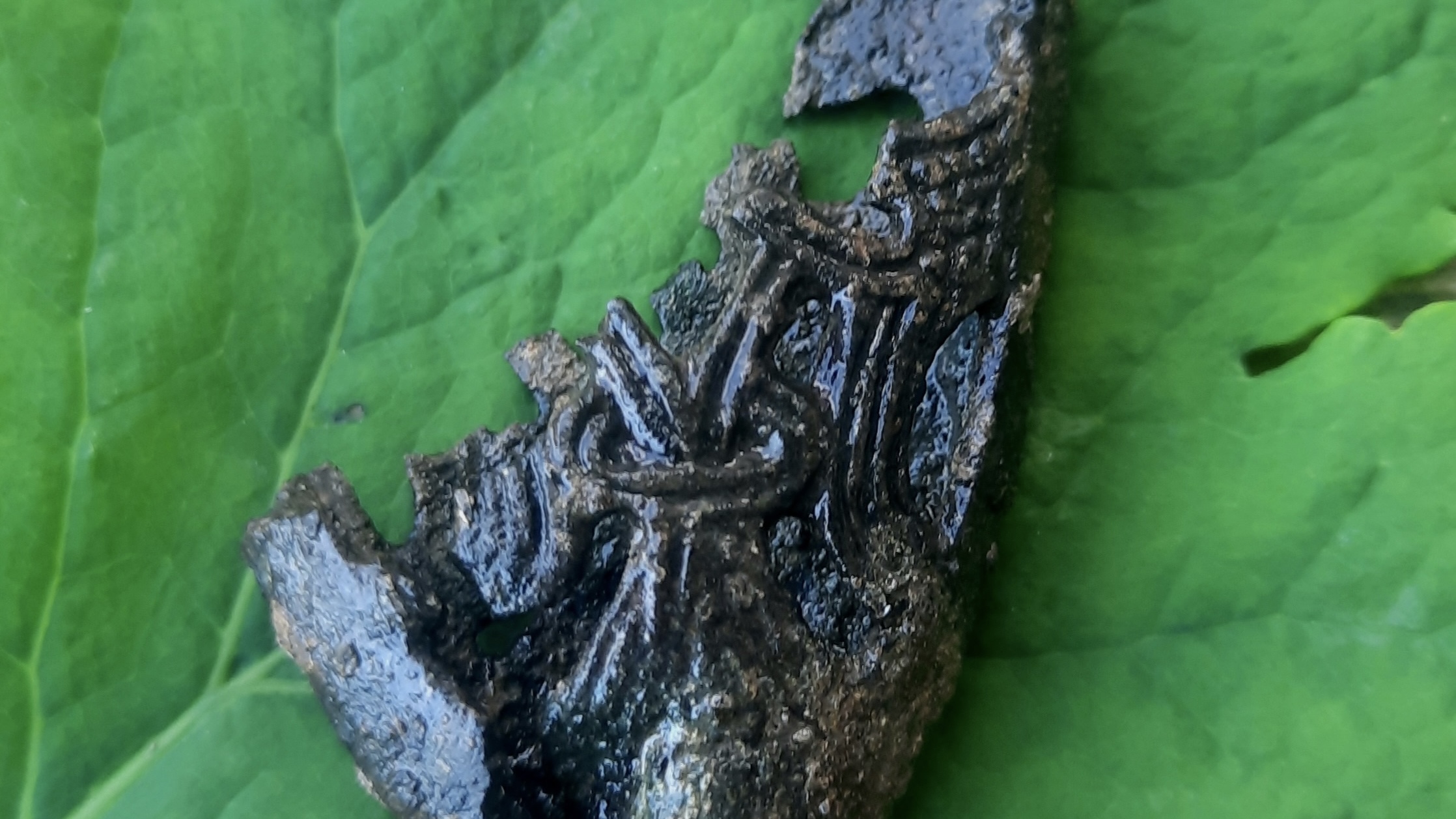 Валентин Бейлекчи Валентин Бейлекчи