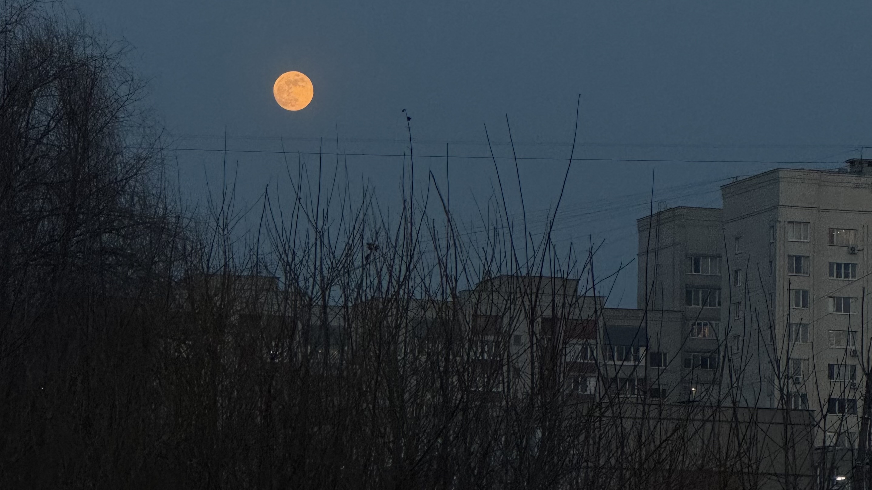 День во Владимире День во Владимире
