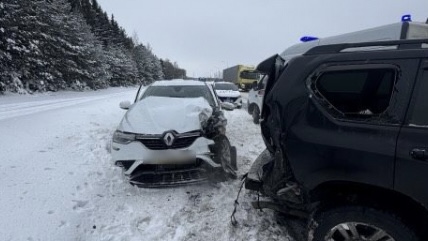 УМВД по Владимирской области УМВД по Владимирской области